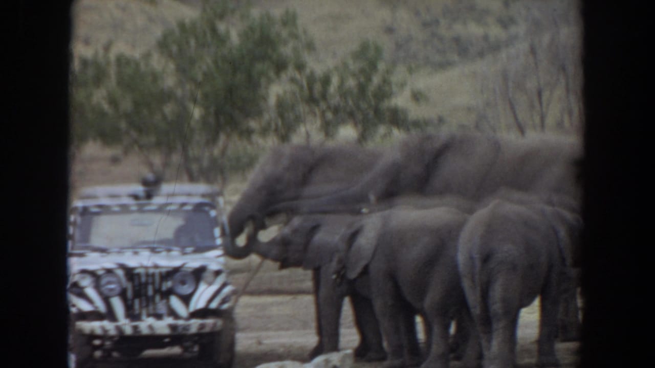 1974 Irvine, California 8mm frame showing elephants and calves clustered near a zebra-striped jeep in a dry open field.