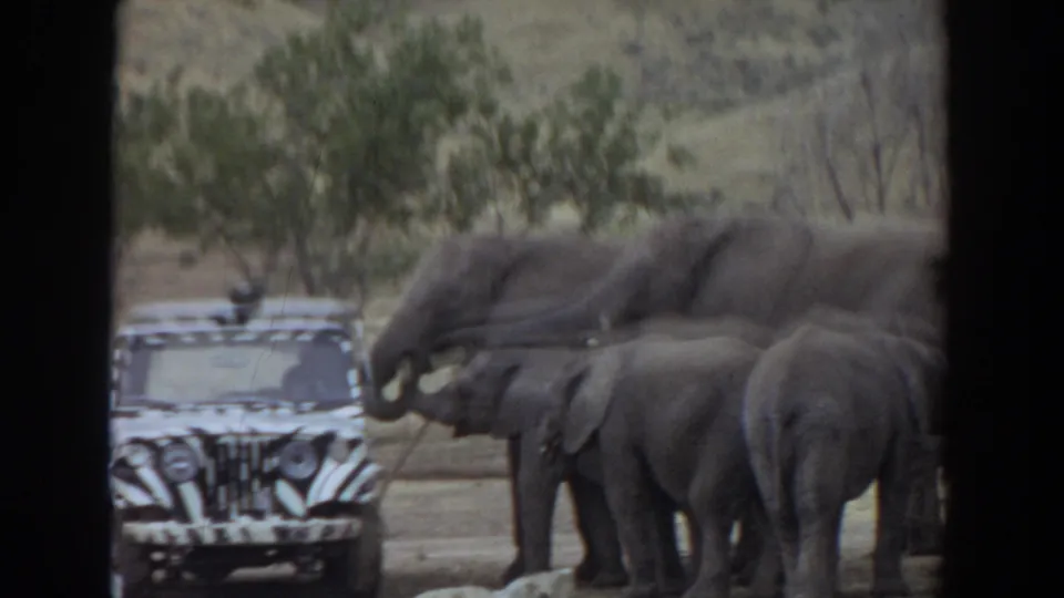 1974 Irvine, California 8mm frame showing elephants and calves clustered near a zebra-striped jeep in a dry open field.