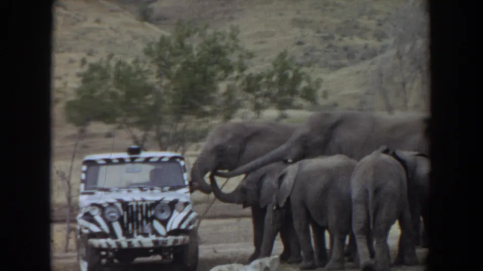 1974 Irvine, California 8mm frame showing elephants and calves grouped tightly beside a zebra-striped safari-style jeep.