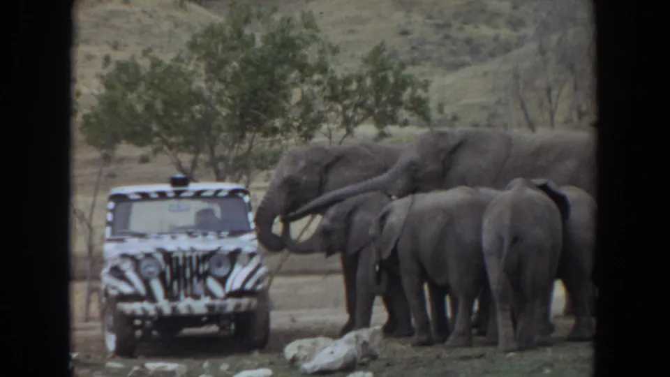 1974 Irvine, California frame of elephants surrounding a zebra-striped jeep, with trees, rocks, and dry hills in the background.