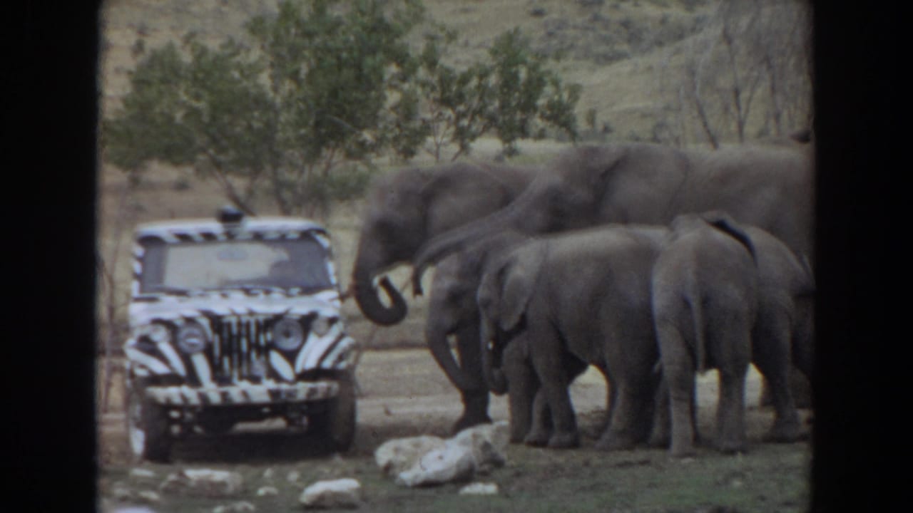Zebra-striped jeep parked beside a group of elephants in a dry, hilly enclosure.