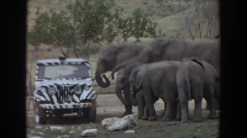 1974 Irvine 8mm frame showing a zebra-striped jeep near adult elephants and calves in a dry, hilly landscape.