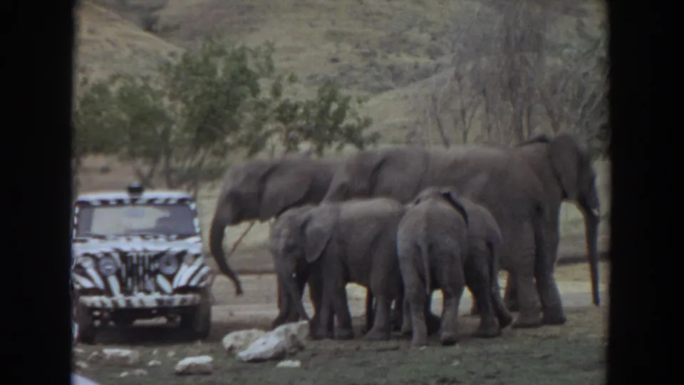 1974 Irvine 8mm frame with a zebra-striped jeep facing the camera and elephants gathered nearby in an open enclosure.