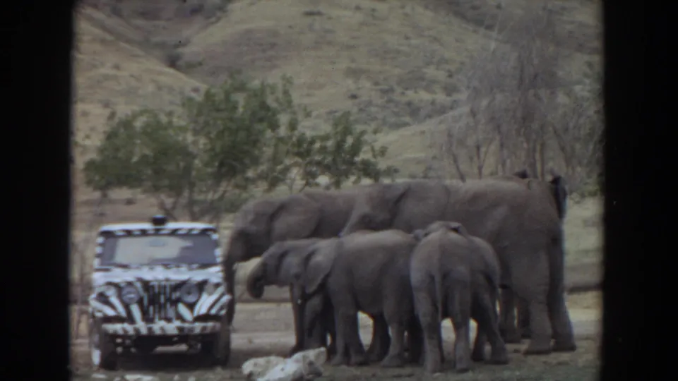 1974 Irvine frame showing elephants and calves near a zebra-striped vehicle, with grass, rocks, trees, and hills visible.