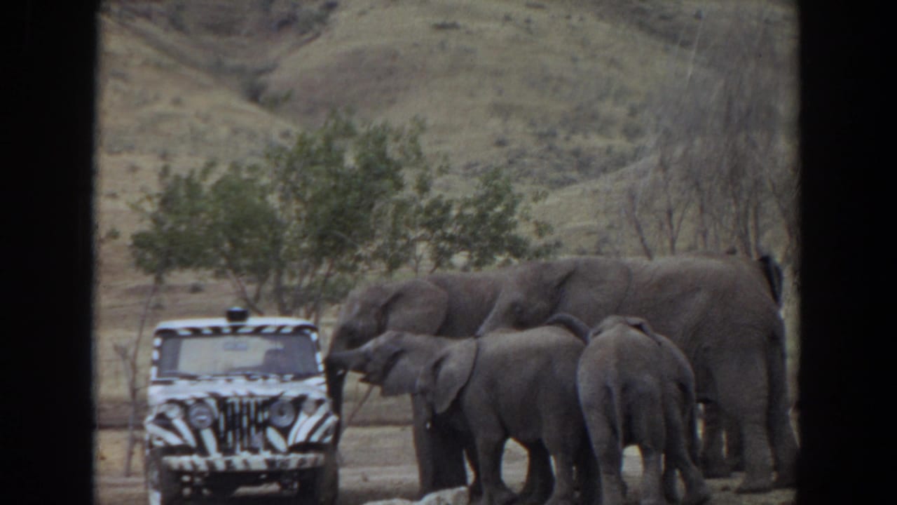 Elephants gather beside a zebra-striped safari jeep in a dry, hilly animal park setting.