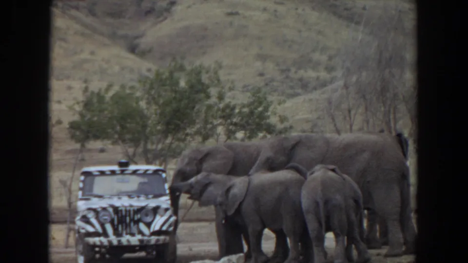 In supplied 1974 Irvine footage, adult and young elephants stand close to a zebra-striped safari jeep in a dry hillside enclosure.