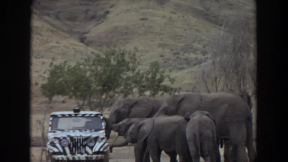A home-movie frame shows several elephants beside a zebra-striped safari vehicle in a dry California wildlife park landscape.