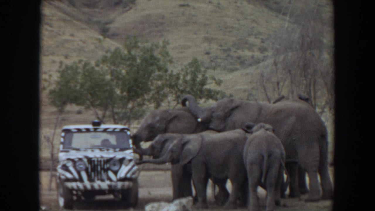 Elephants stand beside a zebra-striped jeep in a dry landscape.
