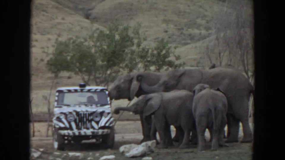 The final frame shows elephants grouped around the striped safari vehicle, with one elephant facing away and hills in the background.