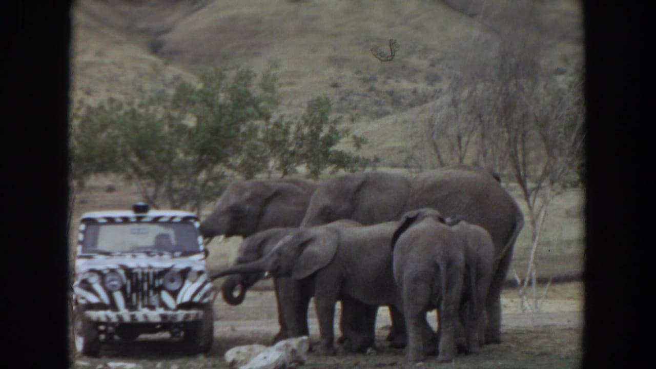 1974 Irvine 8mm frame of several elephants beside a zebra-striped safari-style vehicle, with trees and dry hills in the background.