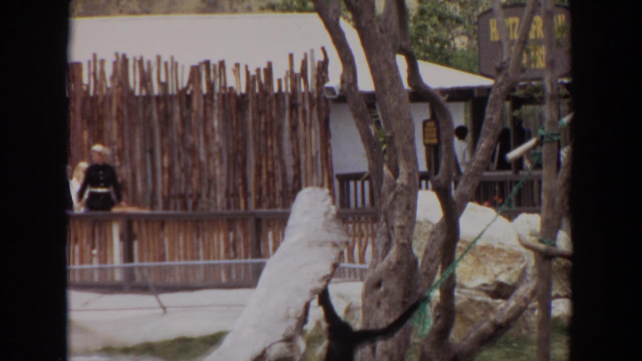 Monkey in a zoo enclosure near logs, rocks, trees, and wooden fencing.