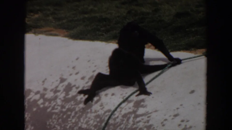 1974 Irvine home-movie frame showing two dark long-armed primates on concrete beside grass and a green hose.