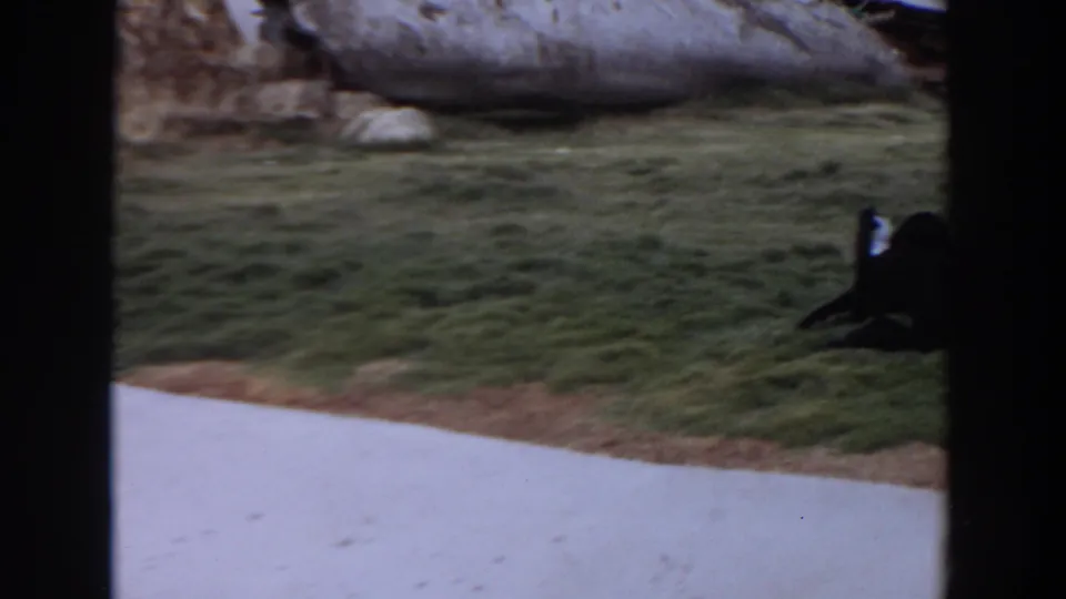 The camera frames the grassy enclosure through dark vertical bars, with the monkey partly visible near the right edge and concrete pond below.