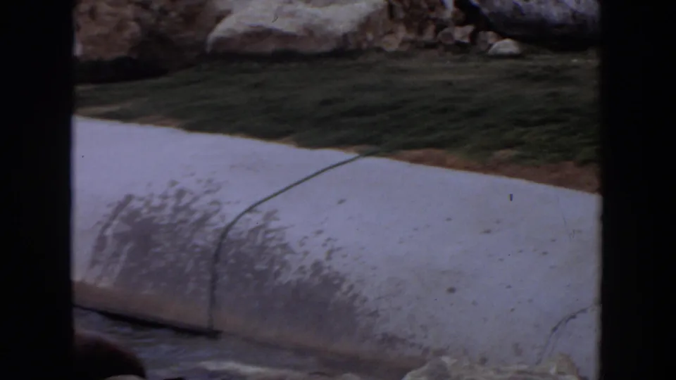 A handheld 8mm view settles on the concrete pond edge, grass, rocks, and a partly visible dark animal at the lower edge.