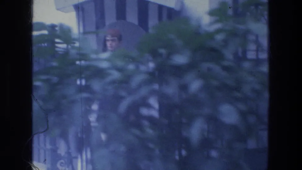 1976 Athens frame with a guard and sentry box partly obscured by large foreground foliage outside the building.