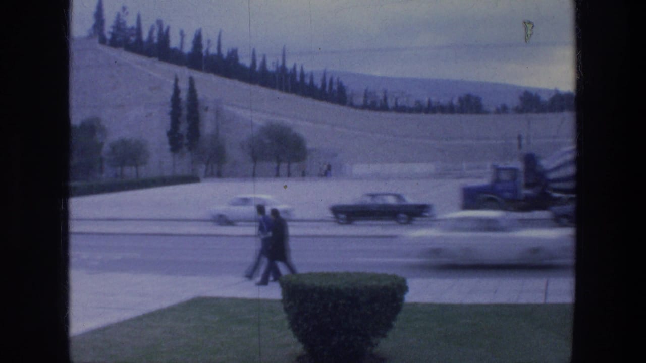 Cars pass along a road beyond a window frame and shrub.