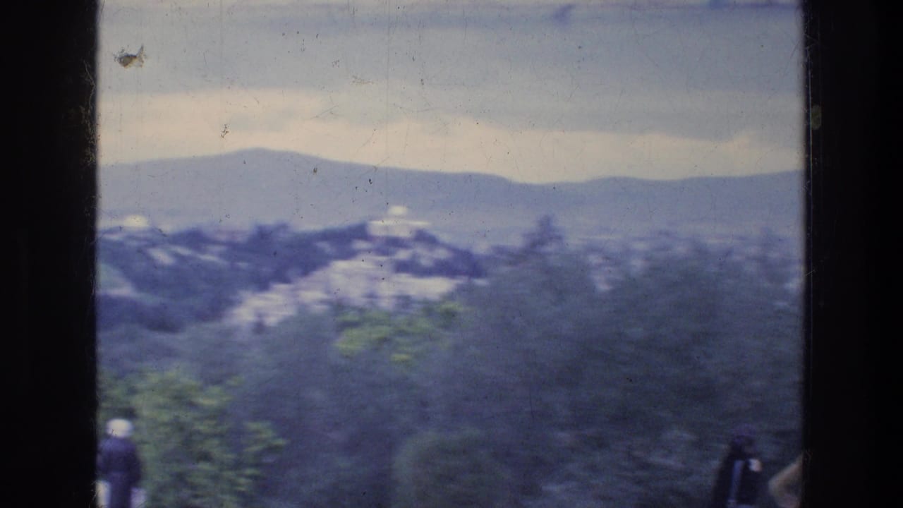 Distant city and hills seen beyond trees from an elevated path.