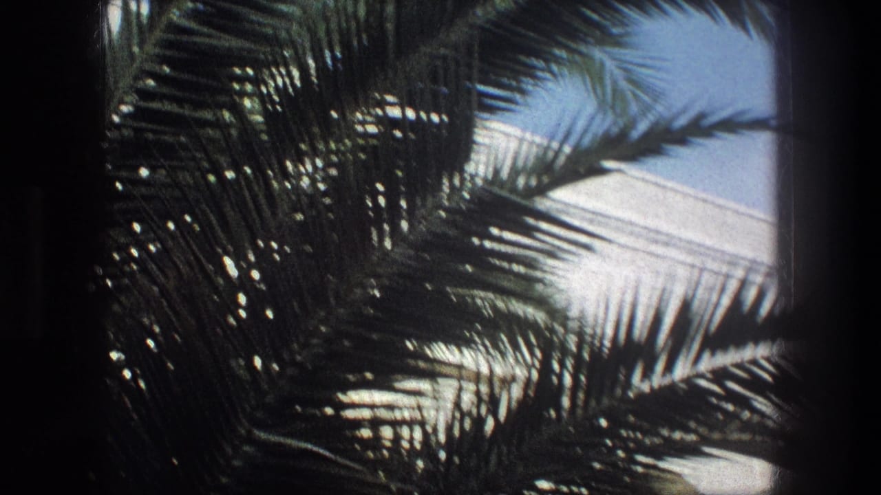 1976 Bethlehem 8mm frame showing dark palm fronds crossing bright sky and white exterior walls.