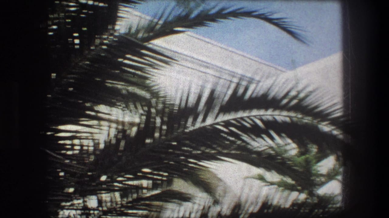 Palm branches cross a bright wall and sky within the film frame.