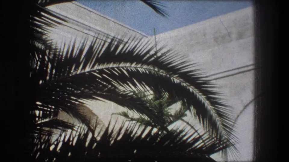 1976 Bethlehem 8mm frame looking past a large palm frond toward white masonry and sky.
