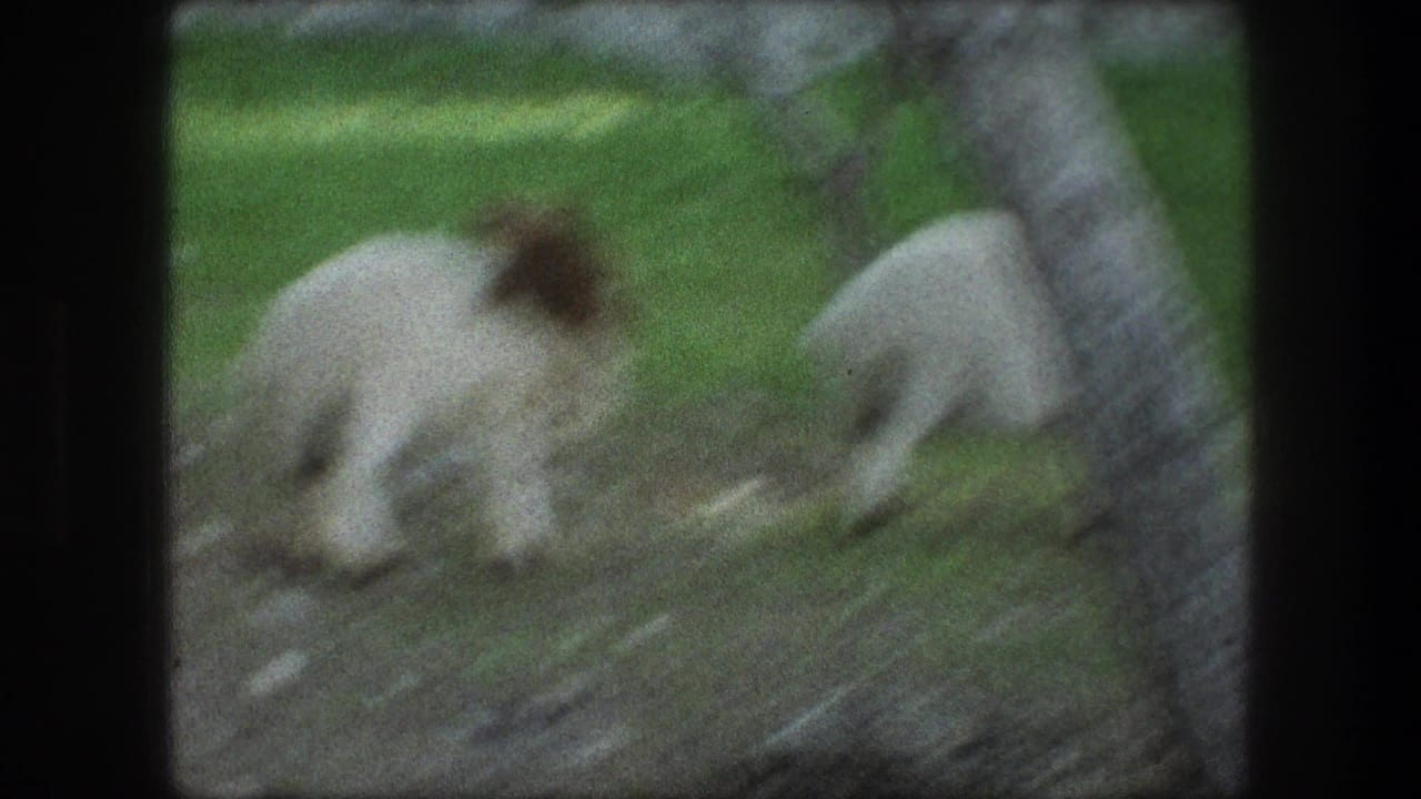 A brown-headed sheep moves across grass while another sheep grazes near a tree.