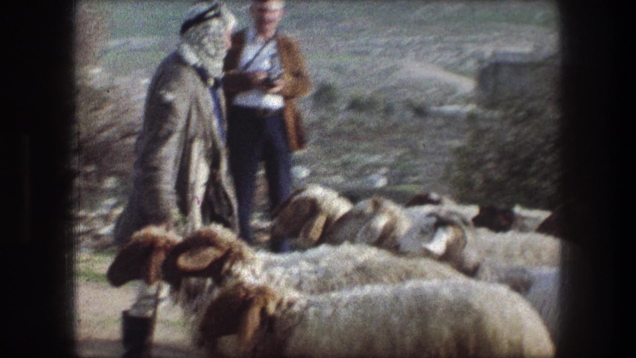 Shepherd walks beside sheep while a man with a camera stands in the background.