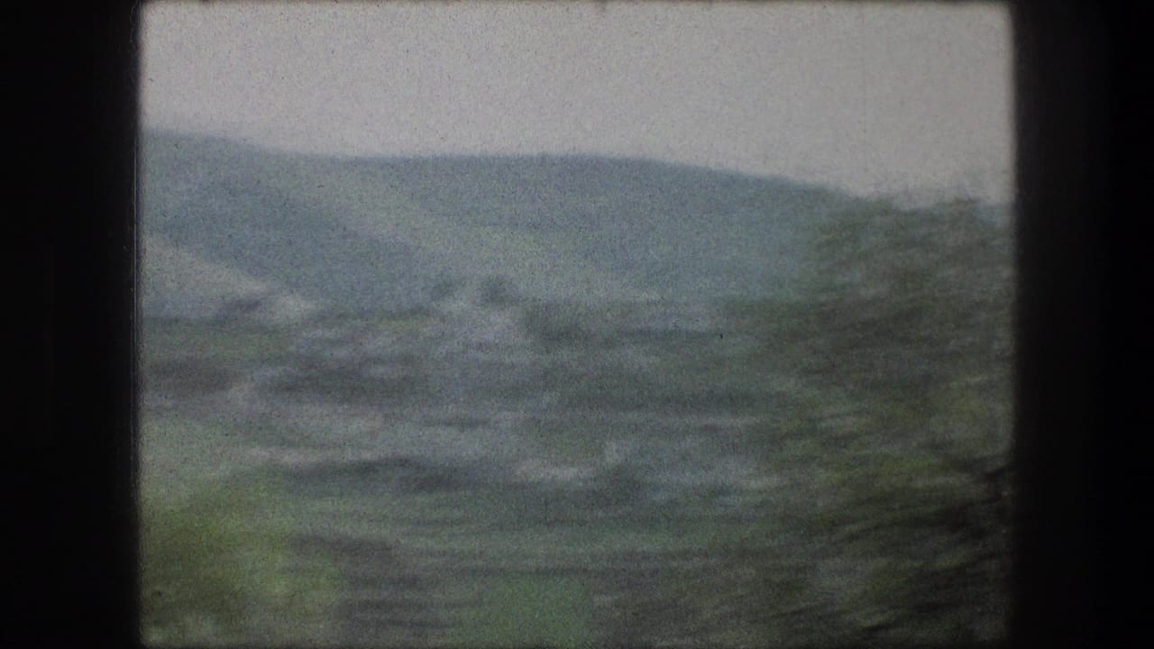 Moving 8mm view across Bethlehem-area hills, with a muted valley landscape and blurred roadside vegetation at the edge.
