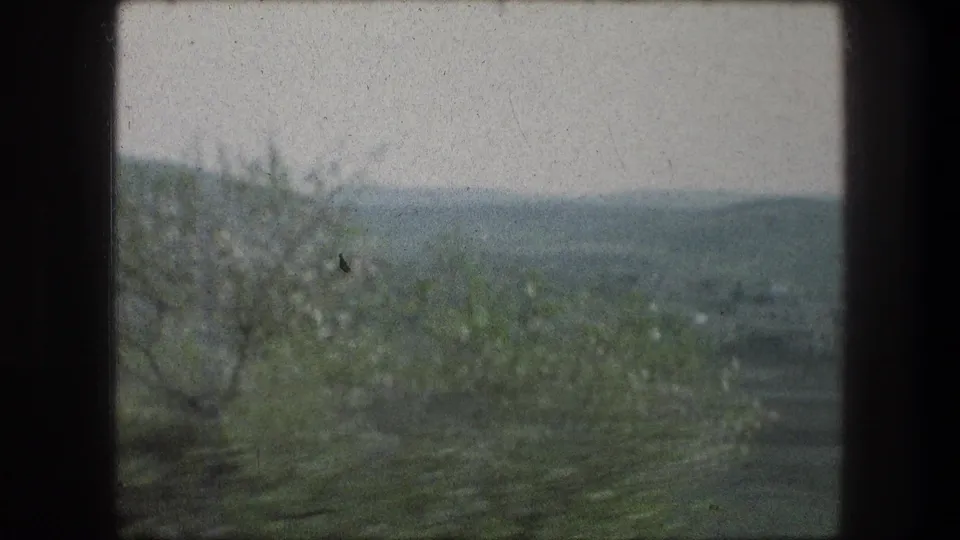 1976 home-movie frame looking past foreground vegetation toward low hills and a distant valley near Bethlehem.