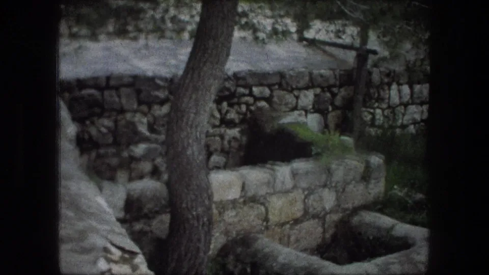 1976 Bethlehem home-movie frame showing a tree trunk, stacked stone walls, grass, and a worn stone well in soft 8mm color.