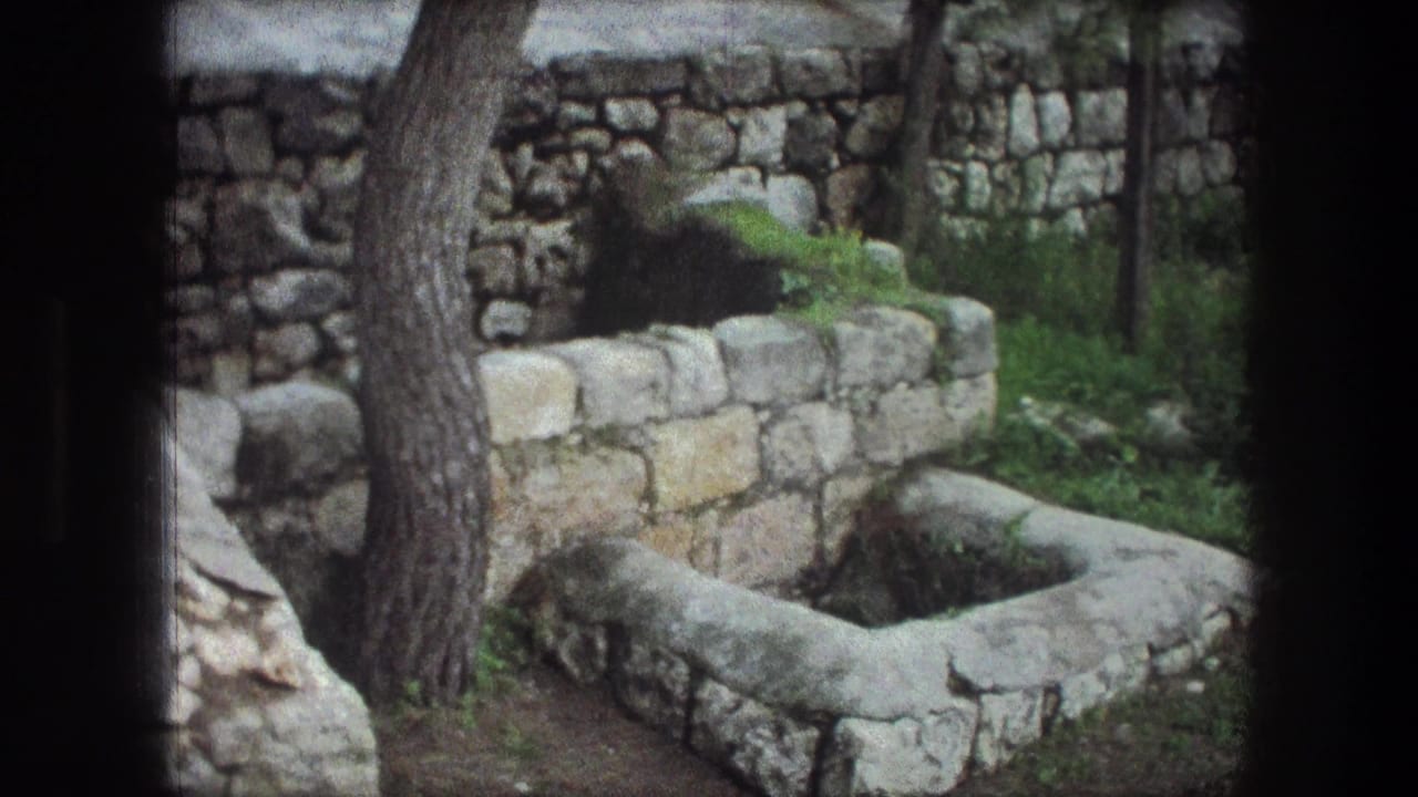 1976 8mm view of an overgrown stone basin or well in Bethlehem, framed by tree trunks and rough limestone walls.