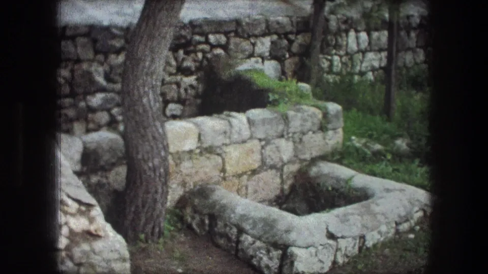 1976 8mm view of an overgrown stone basin or well in Bethlehem, framed by tree trunks and rough limestone walls.