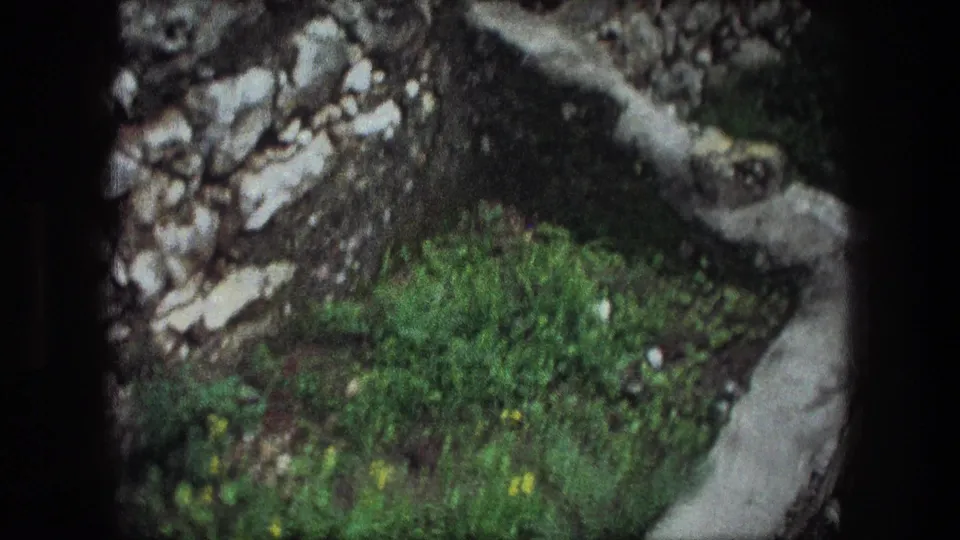 Angled 1976 8mm Bethlehem frame looking down at overgrown stone edging, grass, moss, and rough wall stones.