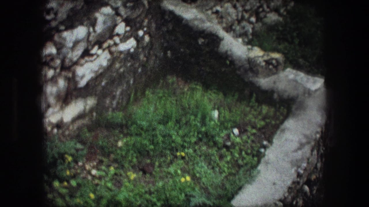 Grey stone edge beside green grass and rocks in an outdoor setting.