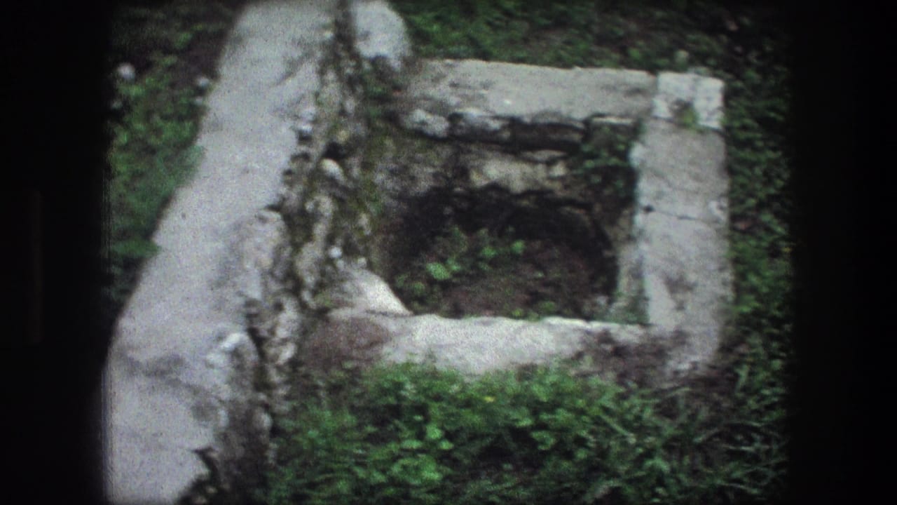 Stone well-like enclosure beside greenery and a narrow paved edge.