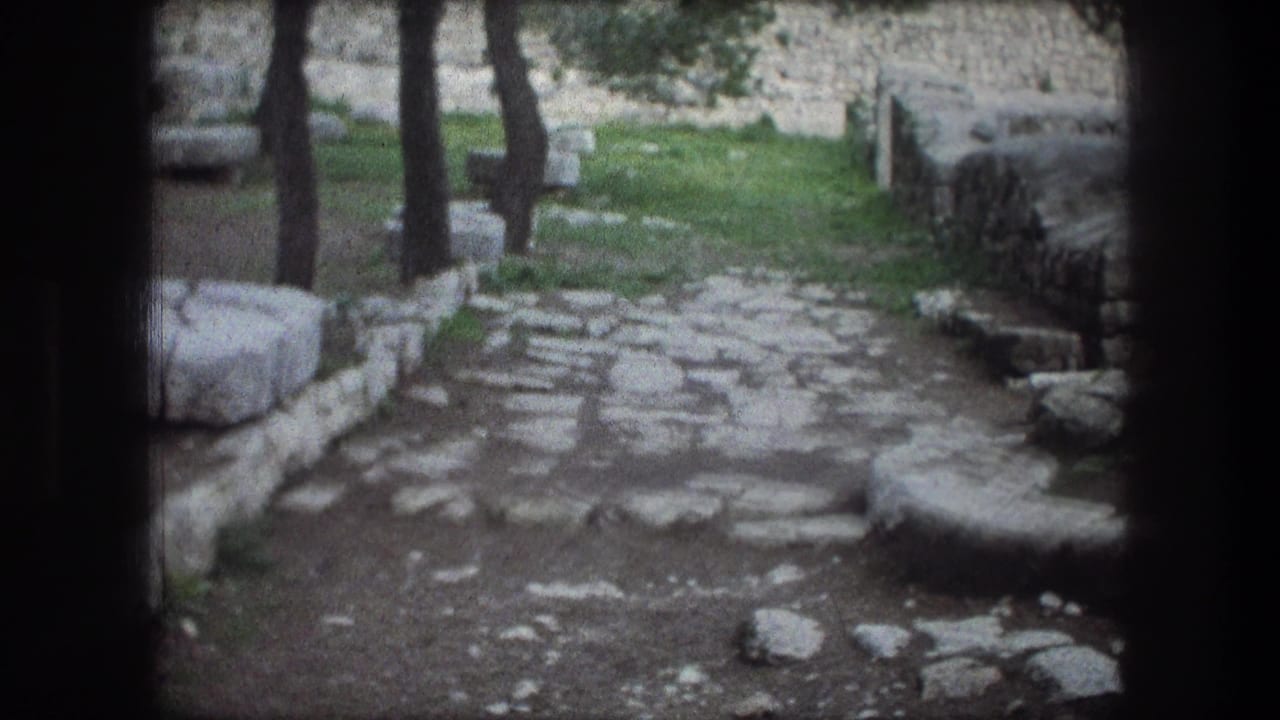 Stone path bordered by trees and low stone walls.