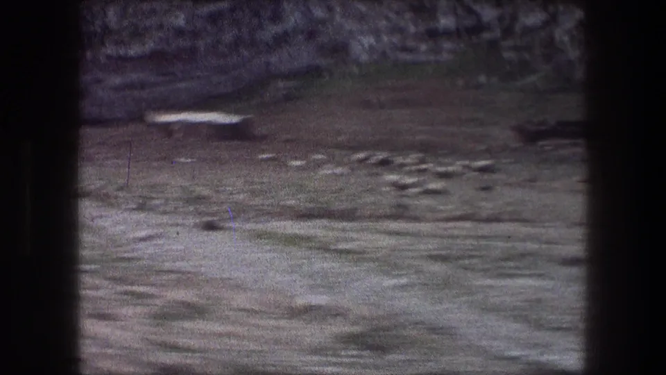 A motion-blurred 1976 Bethlehem window view shows scattered livestock across a dry hillside.