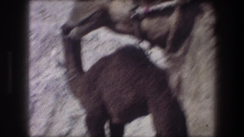 1976 Bethlehem 8mm frame showing a dark camel calf next to the body and leg of a larger camel on sand.