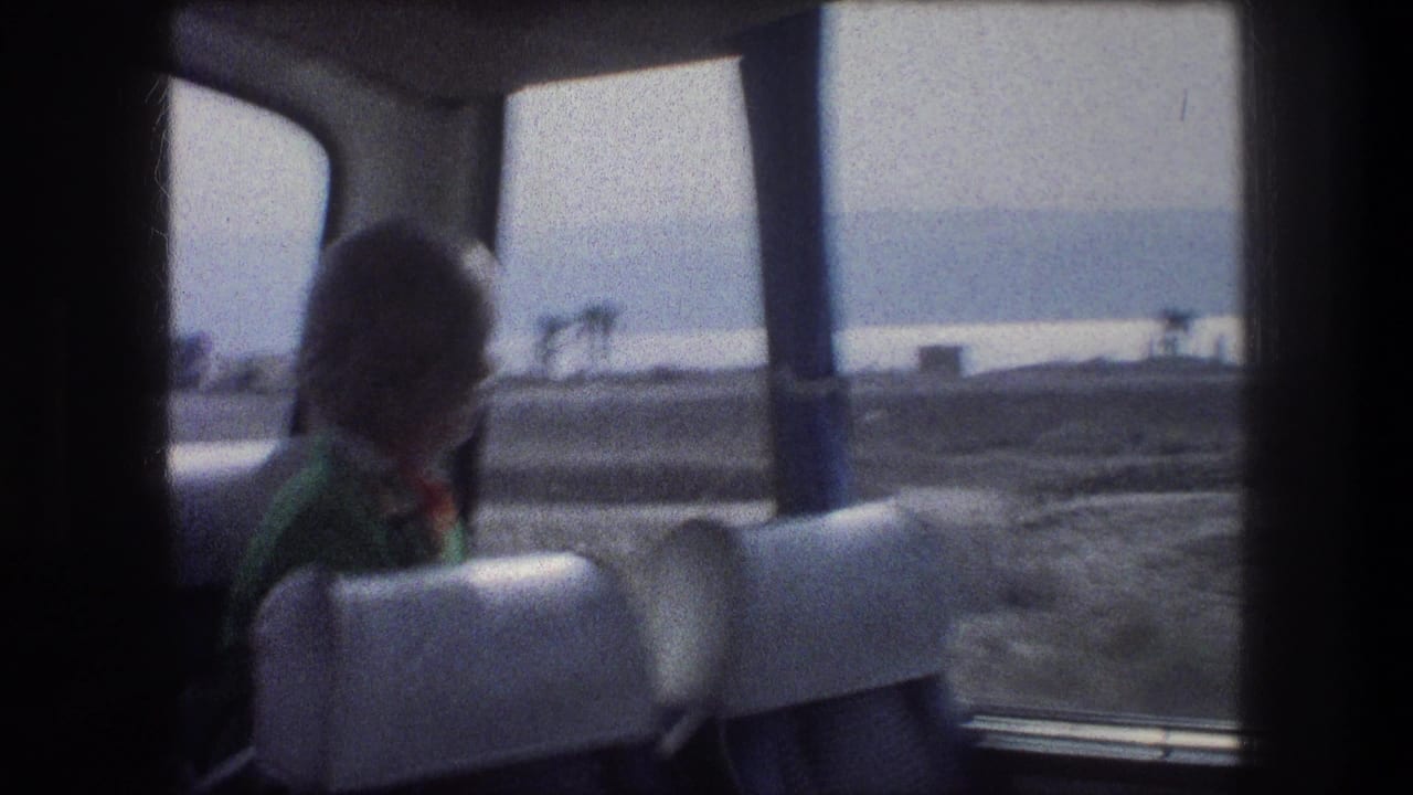 Woman in a green jacket sits by a bus window with hazy landscape outside.