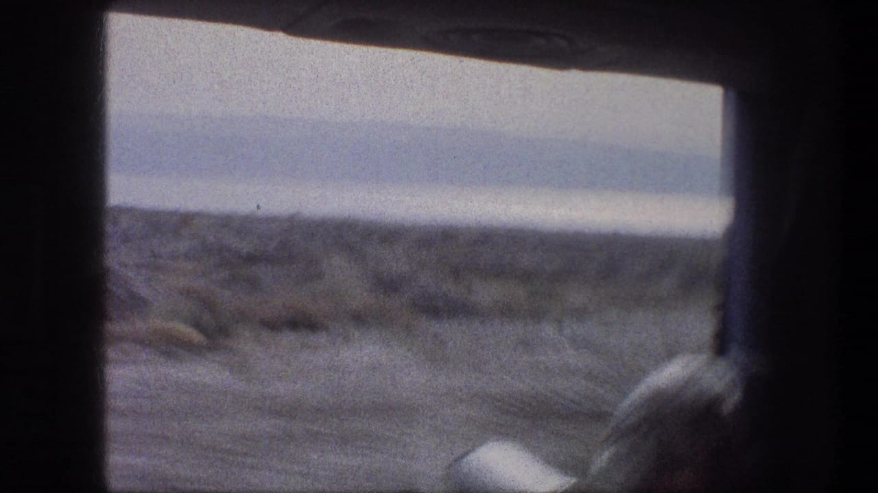 1976 home-movie frame from a moving vehicle, showing sandy coastal terrain and a pale sea horizon through dark window framing.