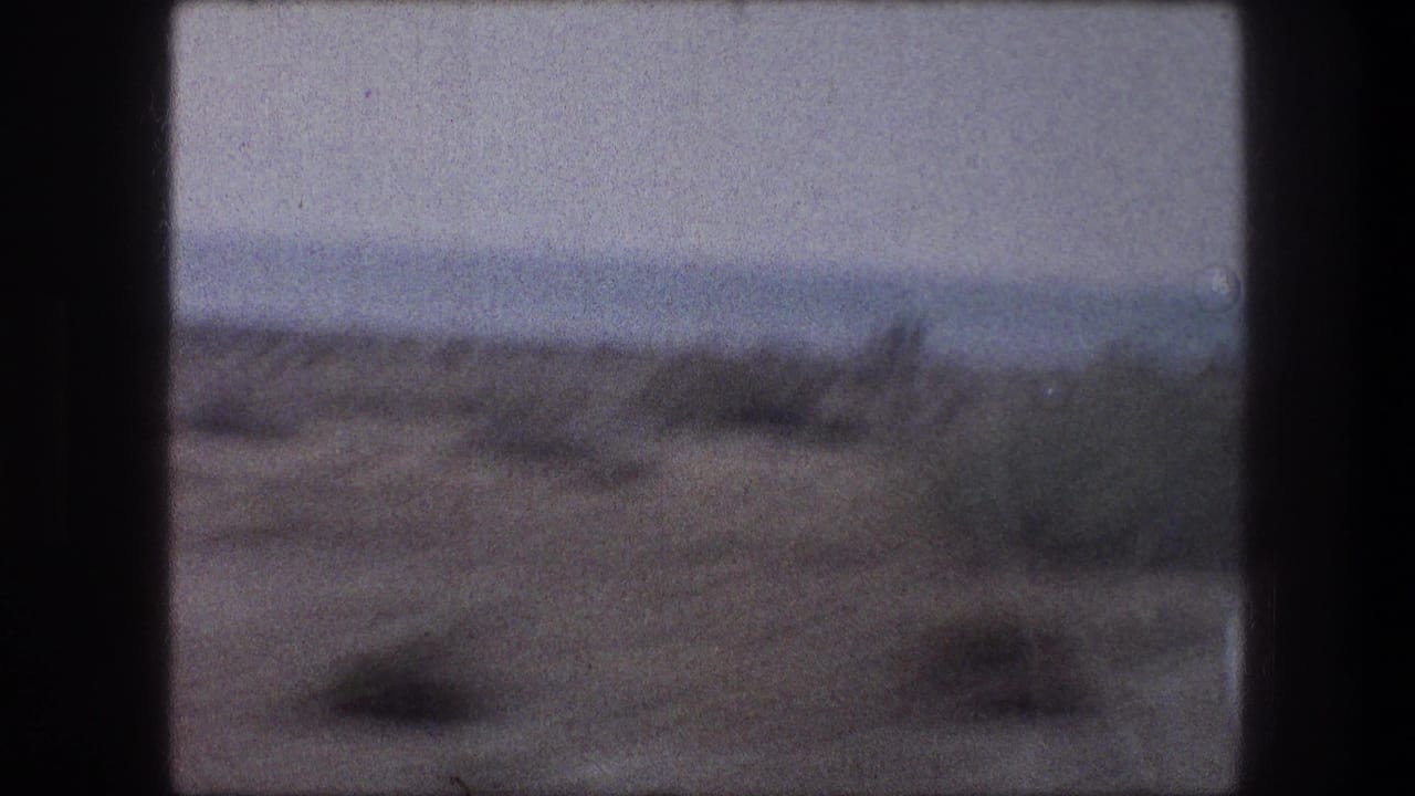 Blurred desert brush seen through dark vehicle window bars.