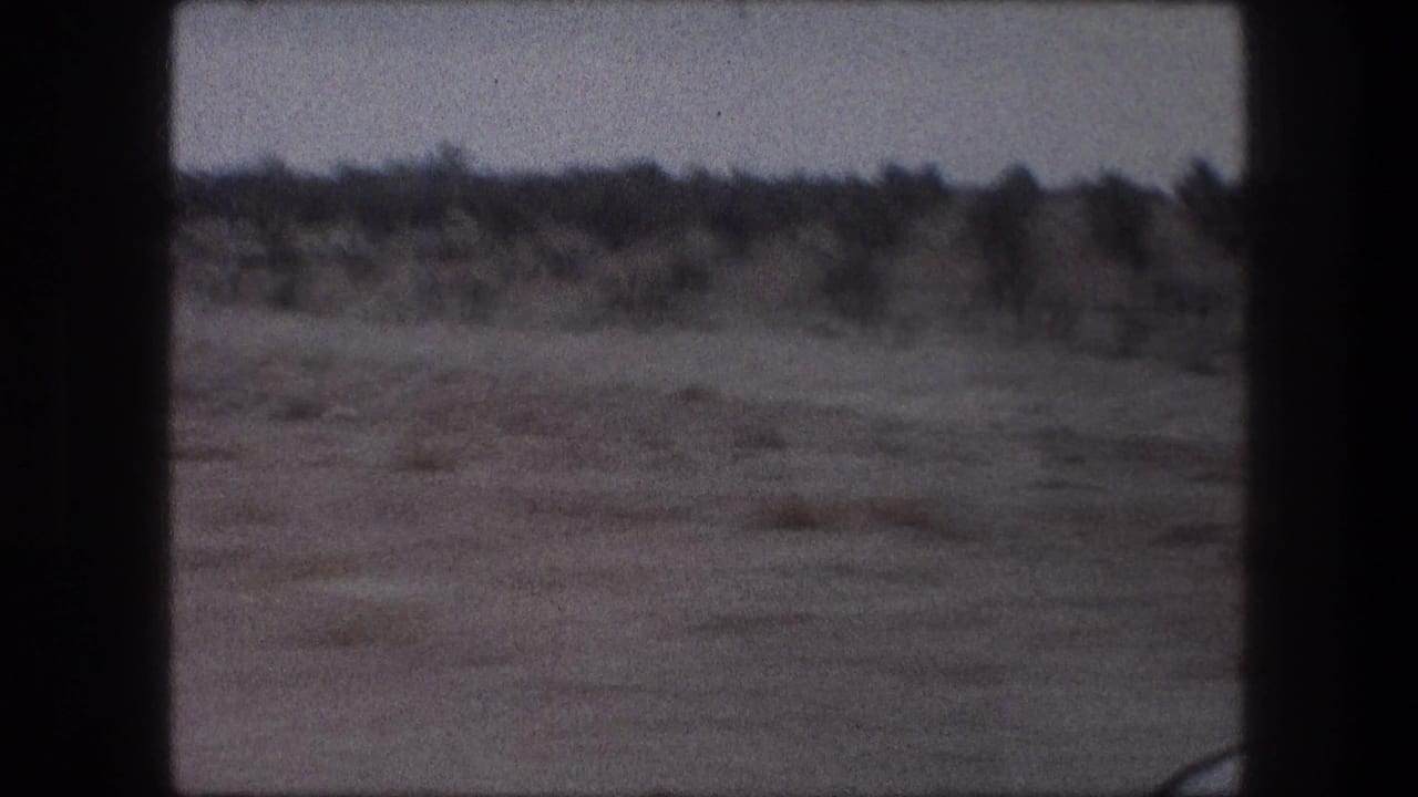 A moving 1976 Bethlehem landscape view with dry terrain, low brush, scattered trees, and a pale blue sky in soft 8mm focus.