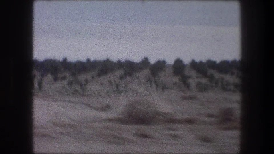 A 1976 Bethlehem-area home-movie frame showing dry roadside earth, scrub vegetation, scattered trees, and pale sky from a moving viewpoint.