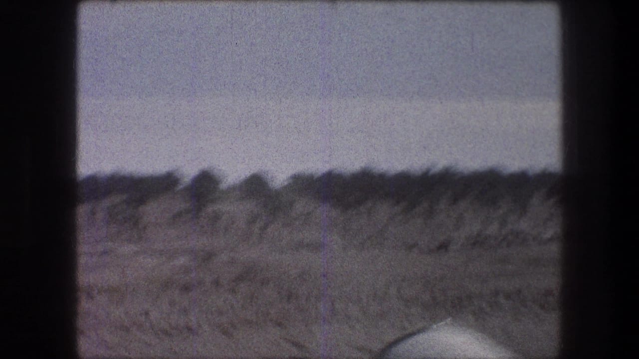 Dry brown field with low shrubs under a pale sky, framed by dark 8mm borders.