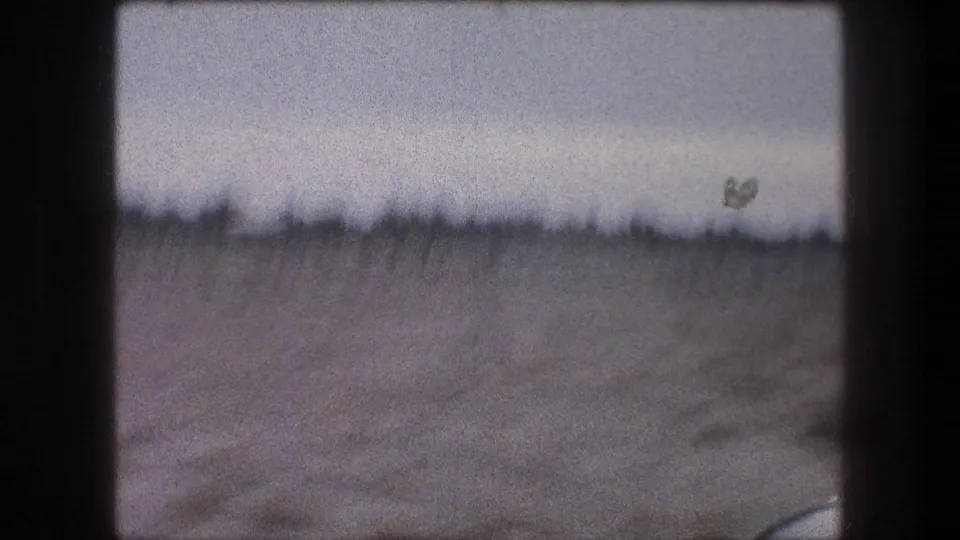 1976 Bethlehem-area frame with open brown terrain, a distant shrub line, pale sky, film grain, and a small visible speck or plant shape.