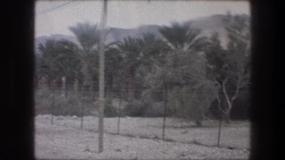 1976 8mm view near Bethlehem with palm trees behind a wire fence, dry ground, utility poles, and distant hills.