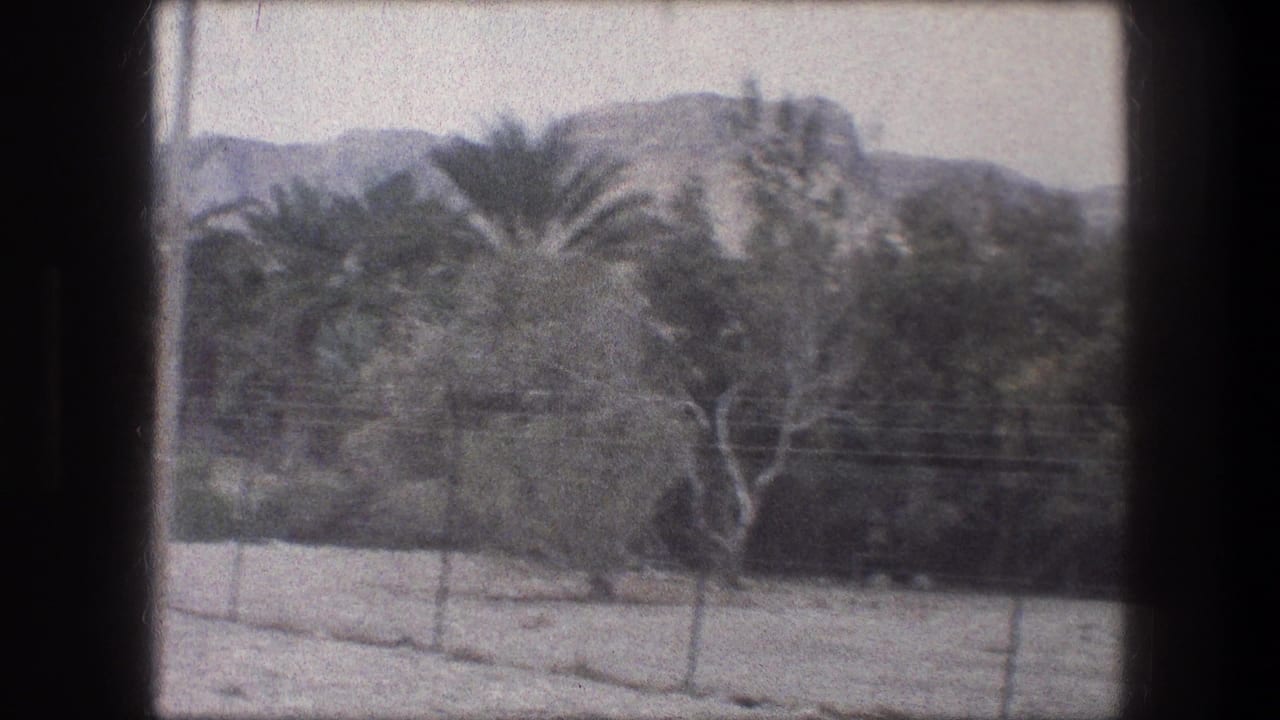 Palm trees and shrubs behind a wire fence with hills in the distance.