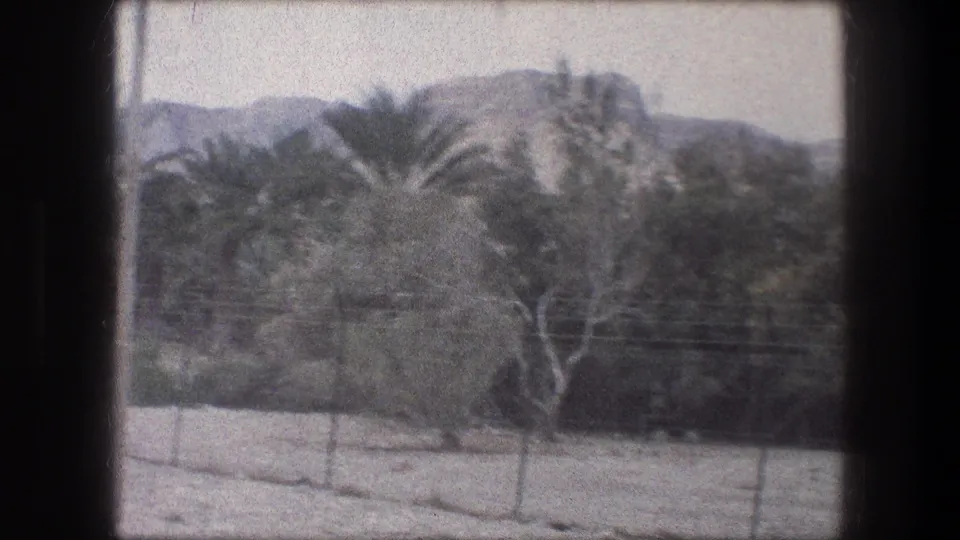 1976 8mm frame from Bethlehem showing palm trees, dry ground, a wire fence, and distant hills.