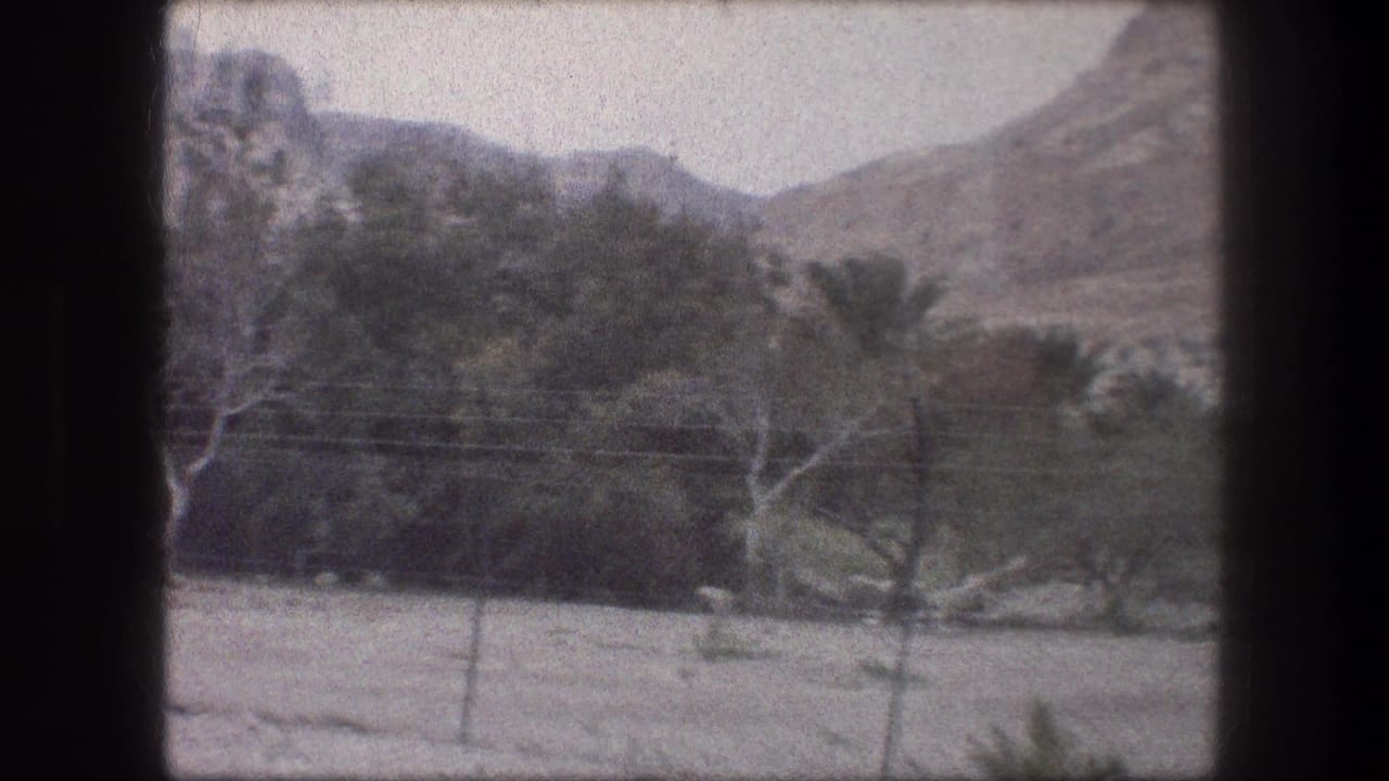 Arid fenced landscape with trees, palms, power lines, and hills beyond.