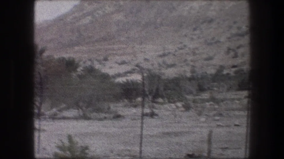 Bethlehem 1976 8mm frame showing open dry terrain, low shrubs, palms, fence posts, and hills in the background.