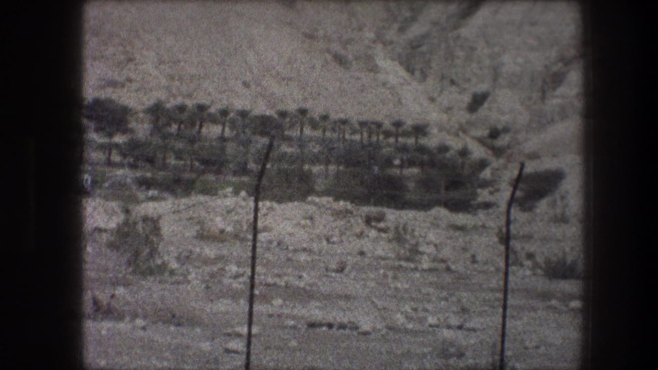 1976 8mm Bethlehem-area view of rocky terrain, distant palms or greenery, and wire fence posts near the camera.